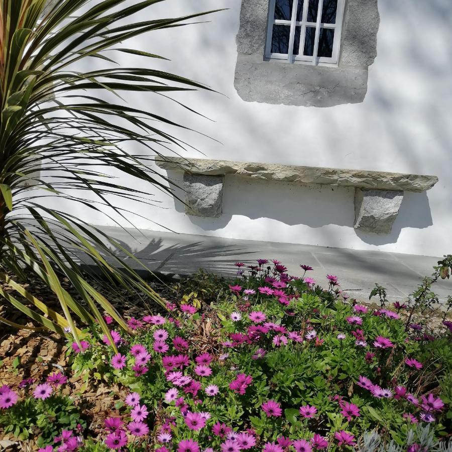 إيسبيليت Maison D'Hotes Villa Xaran Erdian المظهر الخارجي الصورة
